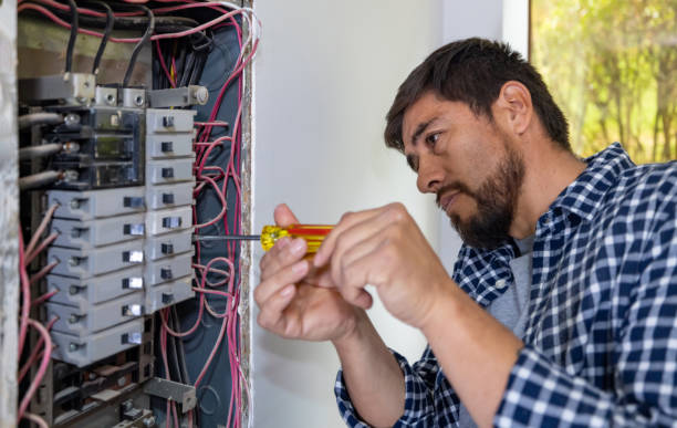 Best Electrical Panel Upgrades  in South Jacksonvle, IL